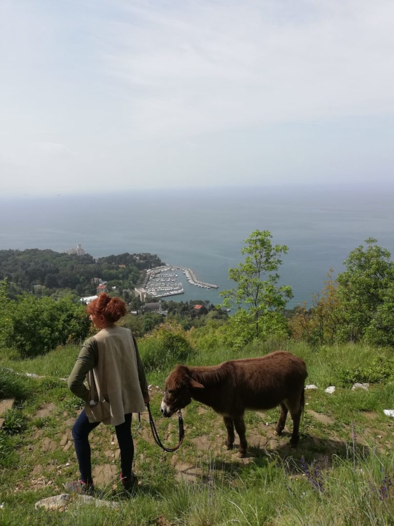 Vista sul golfo di Trieste